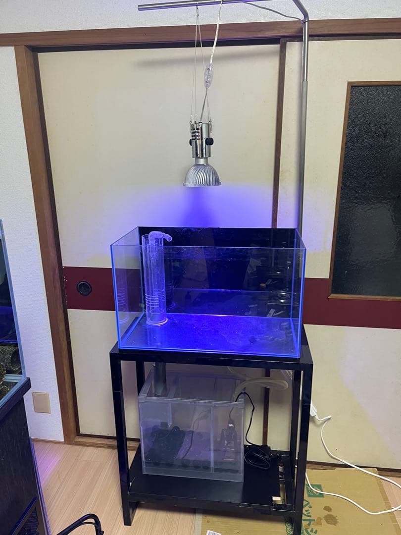 ‼️最終値下げ‼️オーバーフロー60cmガラス水槽フルセット