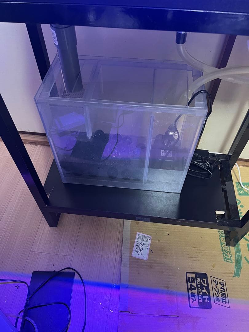 ‼️最終値下げ‼️オーバーフロー60cmガラス水槽フルセット