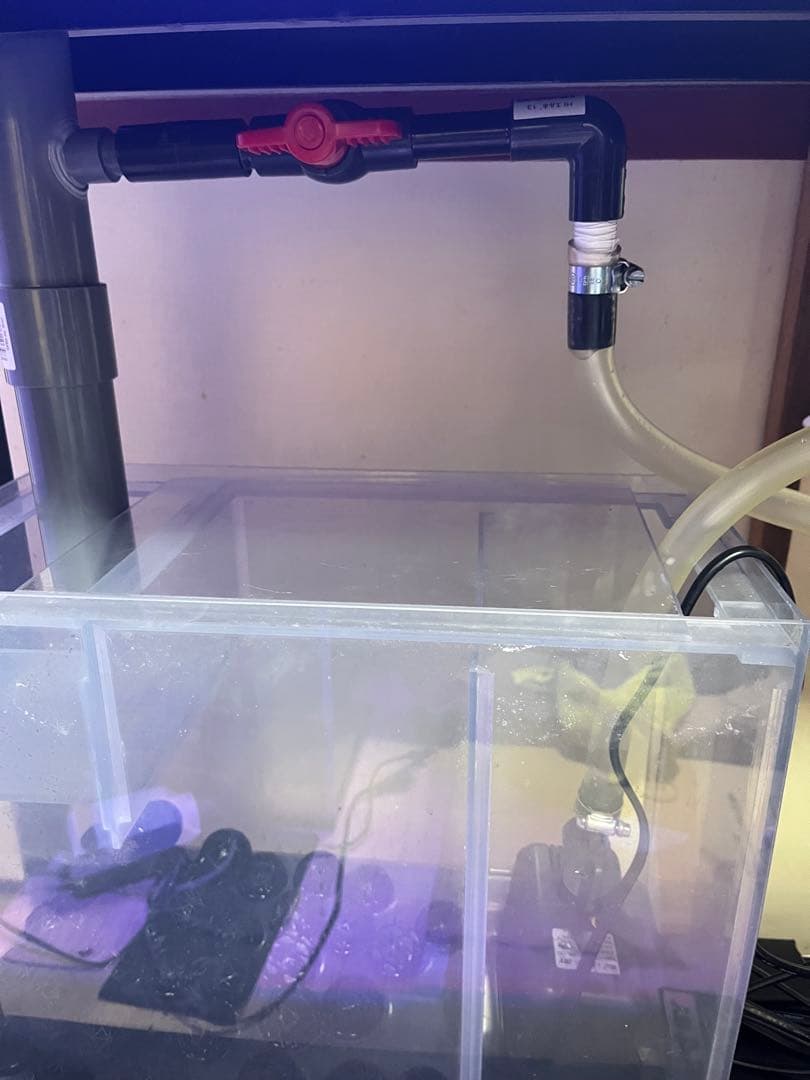 ‼️最終値下げ‼️オーバーフロー60cmガラス水槽フルセット