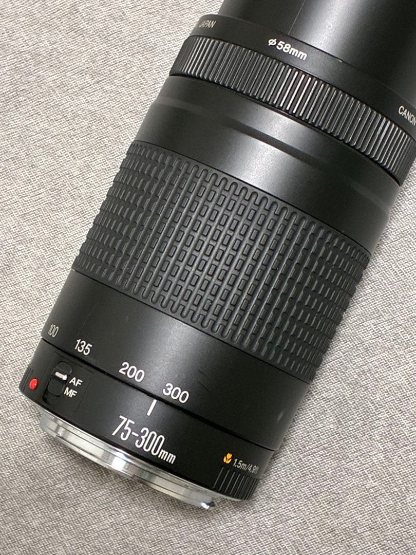 ⭐️美品⭐️ Canon EF 75-300mm F4-5.6 II フード付き望遠