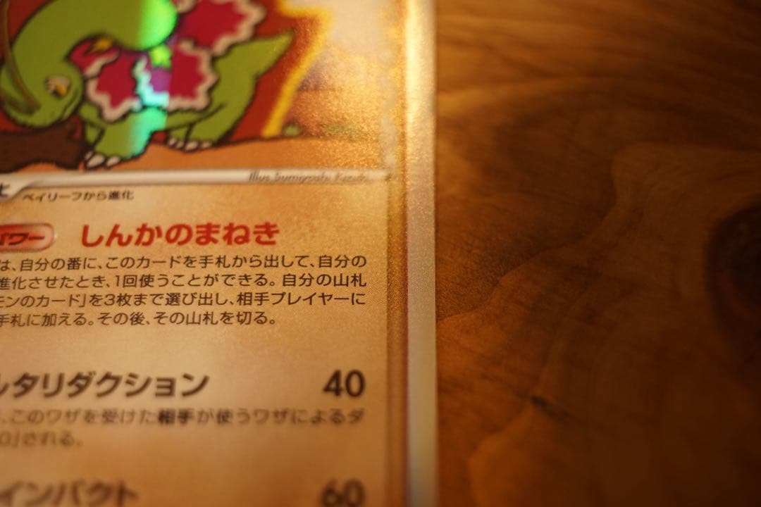 メガニウム デルタ種 1ED さいはての攻防 超美品 ポケカ