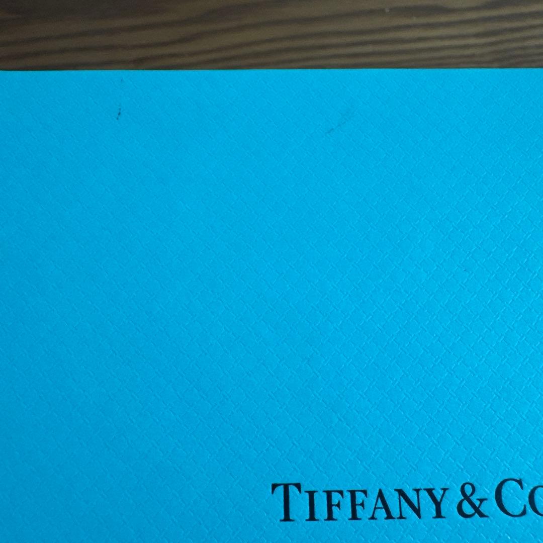Tiffany & Co. エルサペレッティ・シルバーバングル