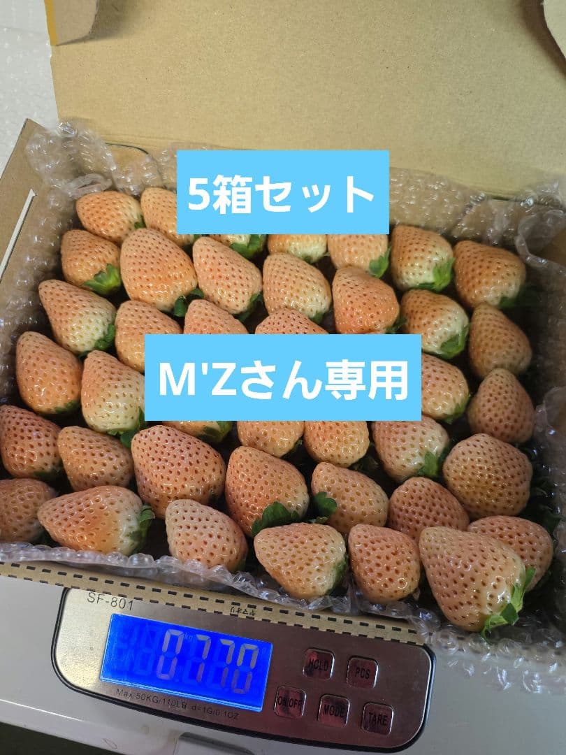 いちご　苺　イチゴ　減農薬