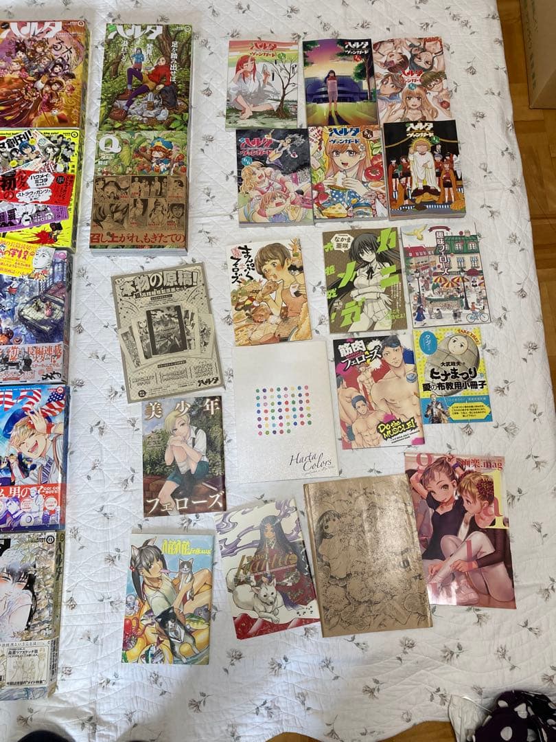 ハルタ1〜26と31　fellows！まとめ売り　乙嫁語り　乱と灰色の世界