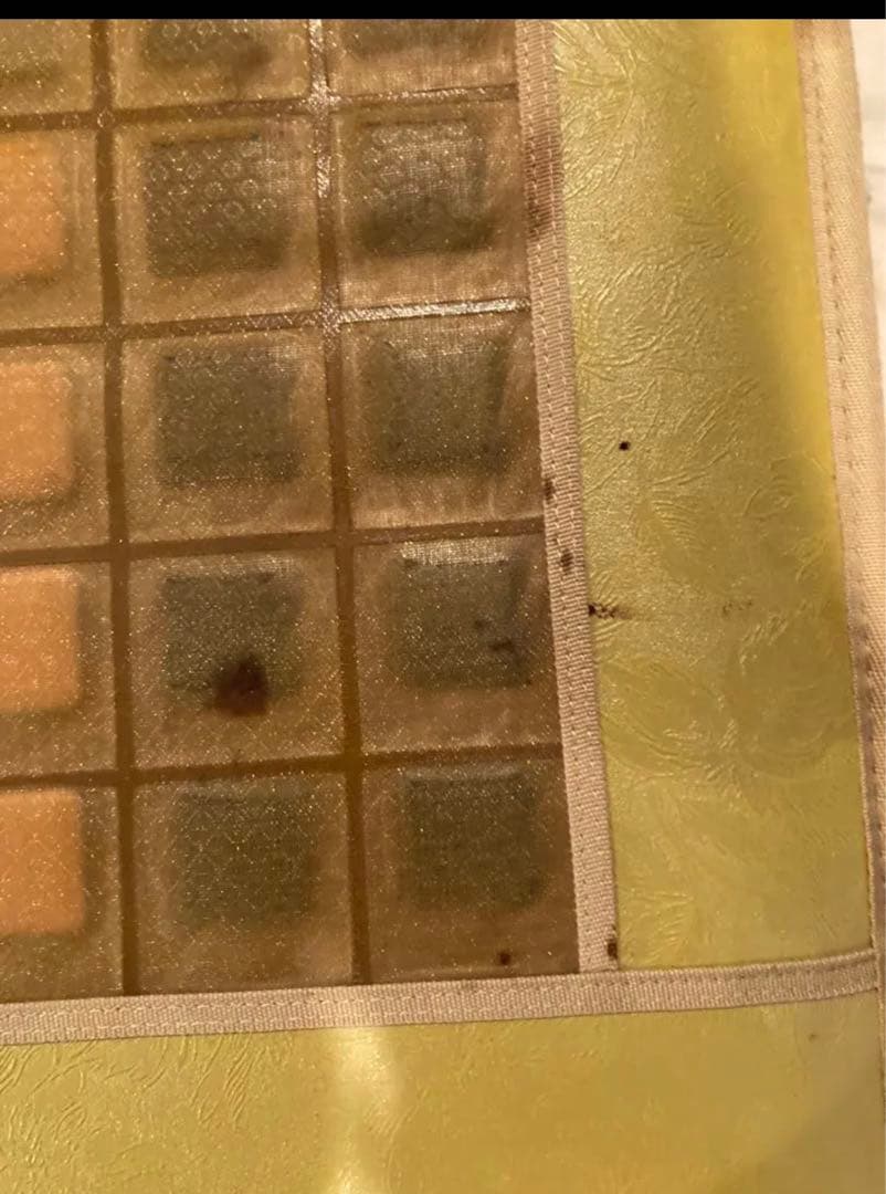 Tera 温熱マットDX 健康器具　温活