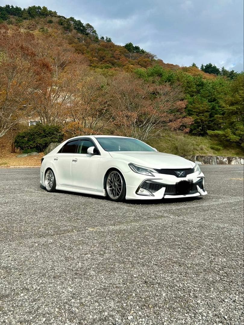 ココア様 抜け固着なし トヨタ マークX クラウン タナベ 車高調 装着写真あり