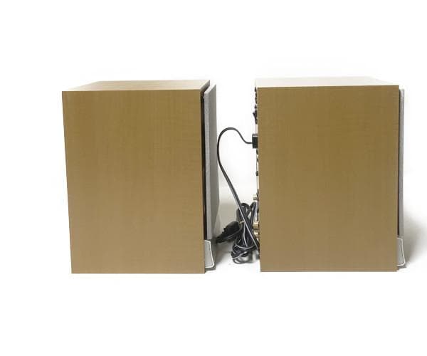 ONKYO WAVIO アンプ内蔵スピーカー 15W+15W GX-D90