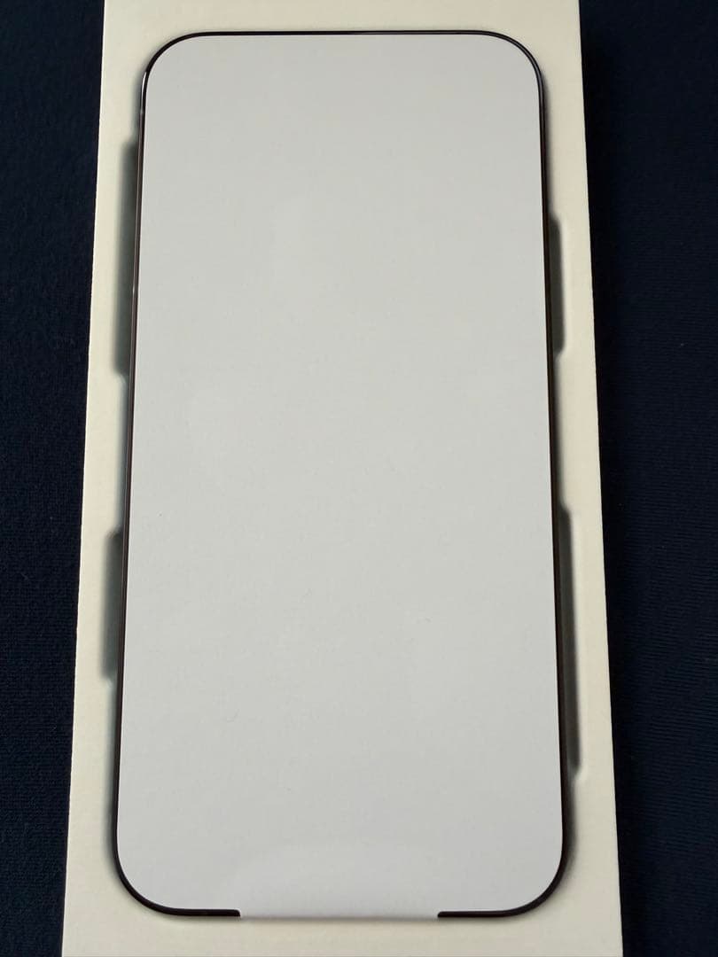 Apple iPhone 12 Pro パシフィックブルー 256GB