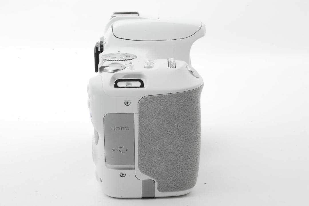 Canon Kiss X9 白 レンズキット 三脚バッグ付