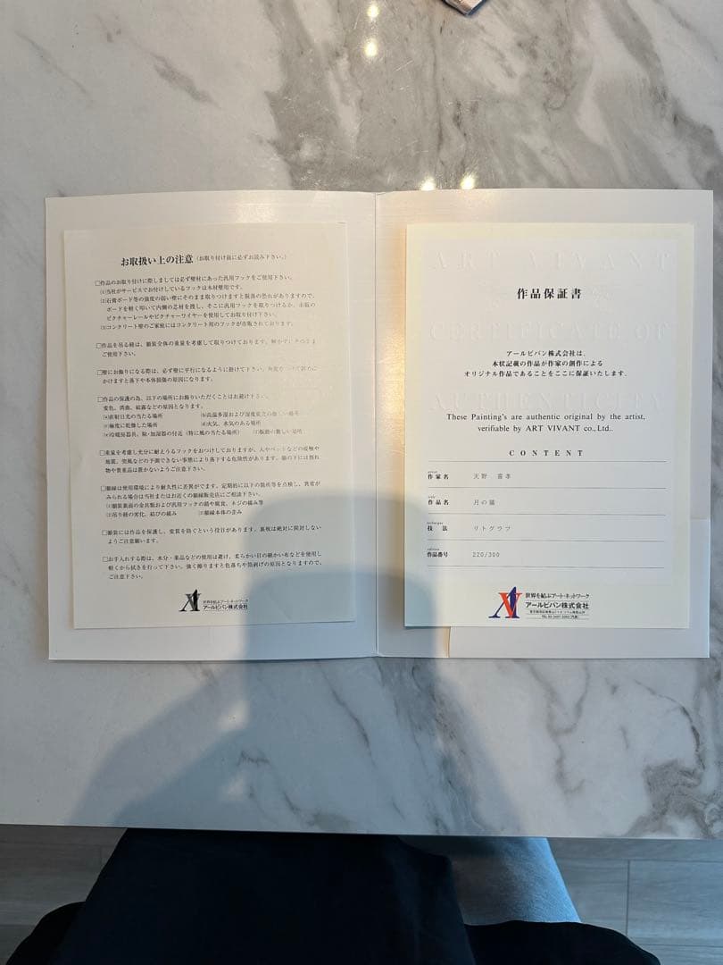 天野喜孝　【月の猫】　版画　リトグラフ　額装　直筆サイン　アールビバン社保証書付