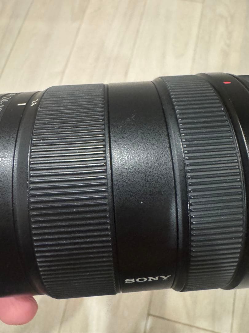 ご*ご様 SONY FE 24-105mm F4 G OSS SEL24105G