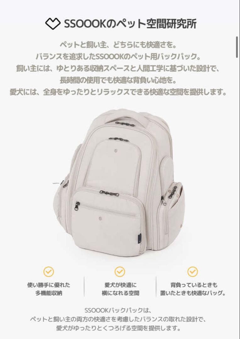 値下げしました‼︎ ssoook バックパック