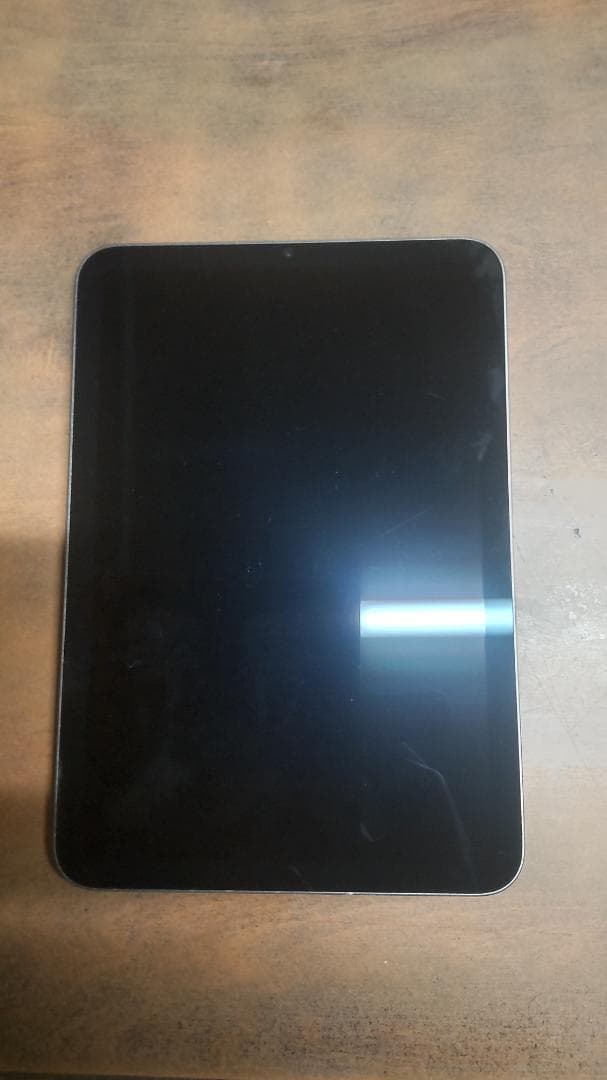 iPad mini 6 ジャンク