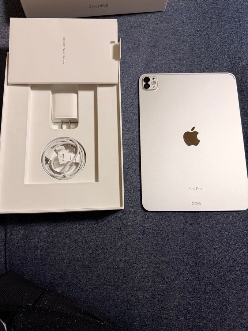 【美品】iPad Pro（M4） シルバー 11インチ 256GB