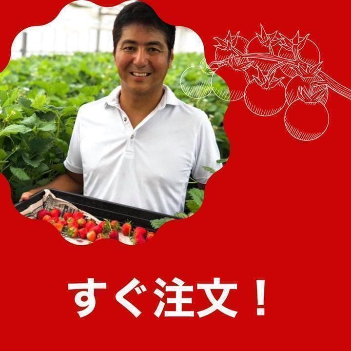 八ヶ岳産　行列ありがとまと 約10kg バラ 味が濃いめ　農薬肥料薄め