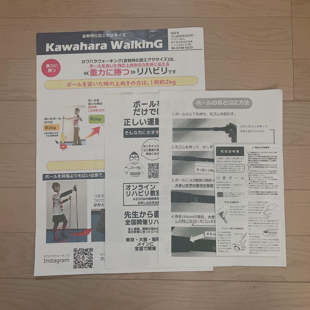 カワハラウォーキング/カワハラポール /紫