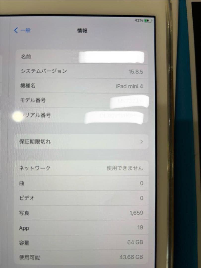 iPad mini 第4世代　64GB【1万円→最終値下げ済】