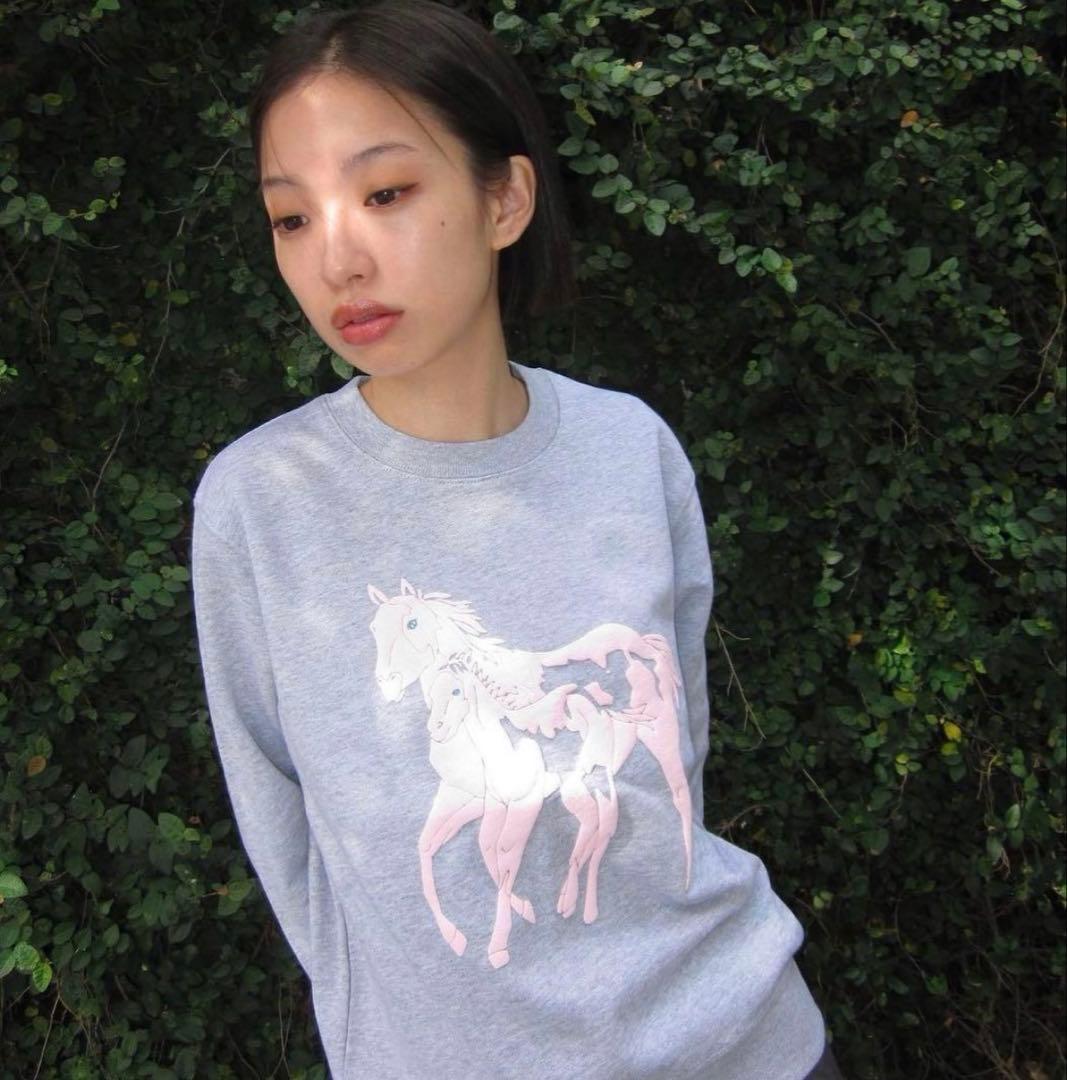 ★*様 Labyrins horse Sweat gray/pink