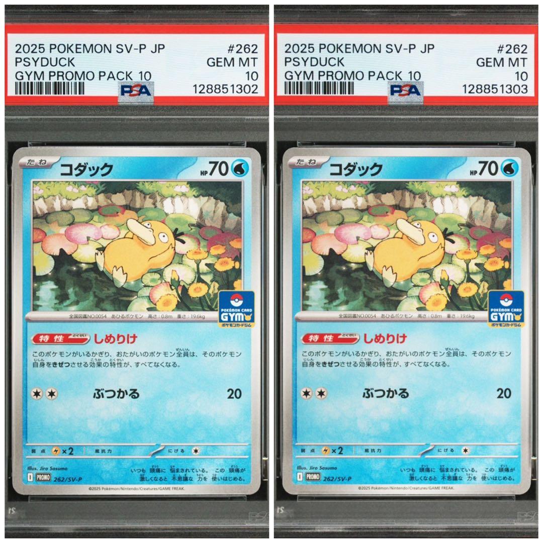 【PSA10】コダック　ジムプロモ　しめりけ 連番