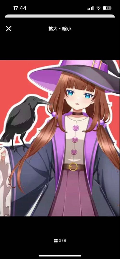 全無椿様ポストカード