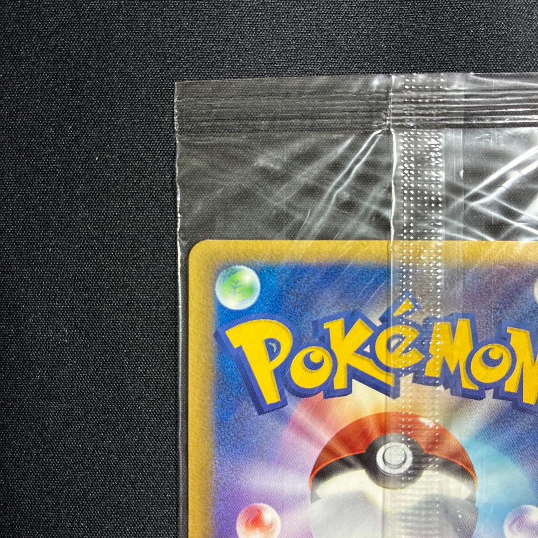 ポケパークのアチャモ　ポケモンカード　ポケパーク　プロモ　ポケカ