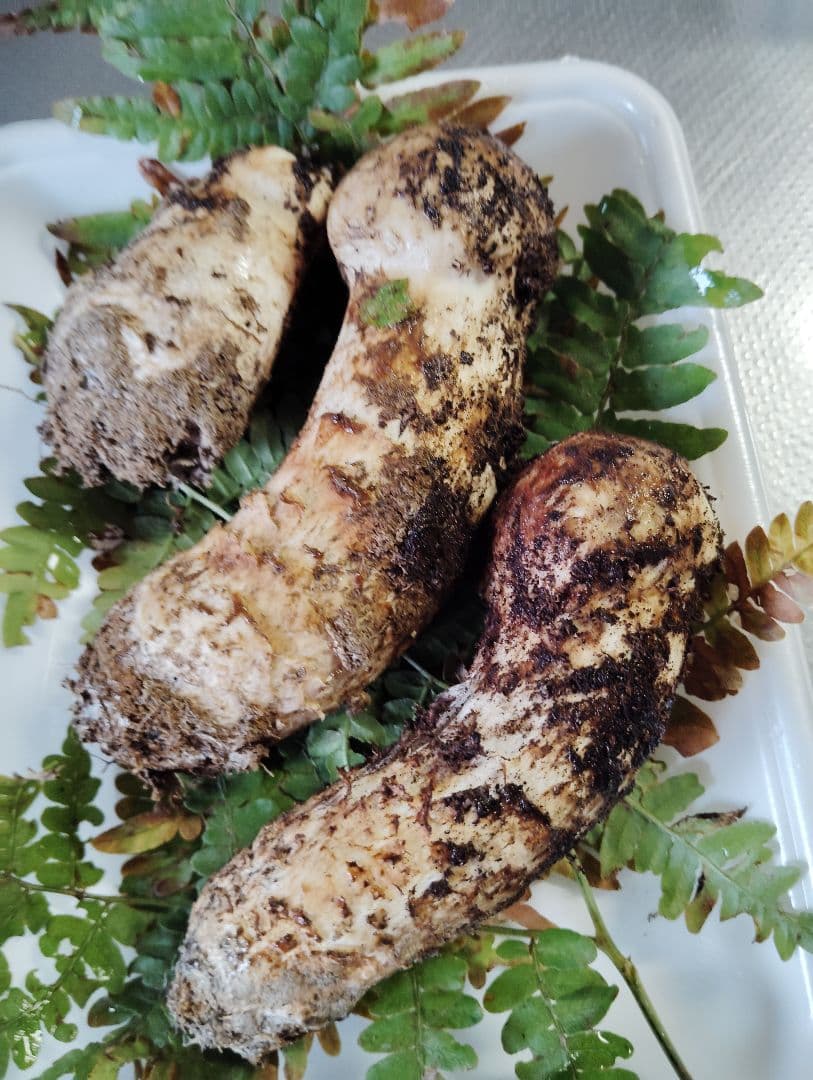 岩手県産松茸　180グラム