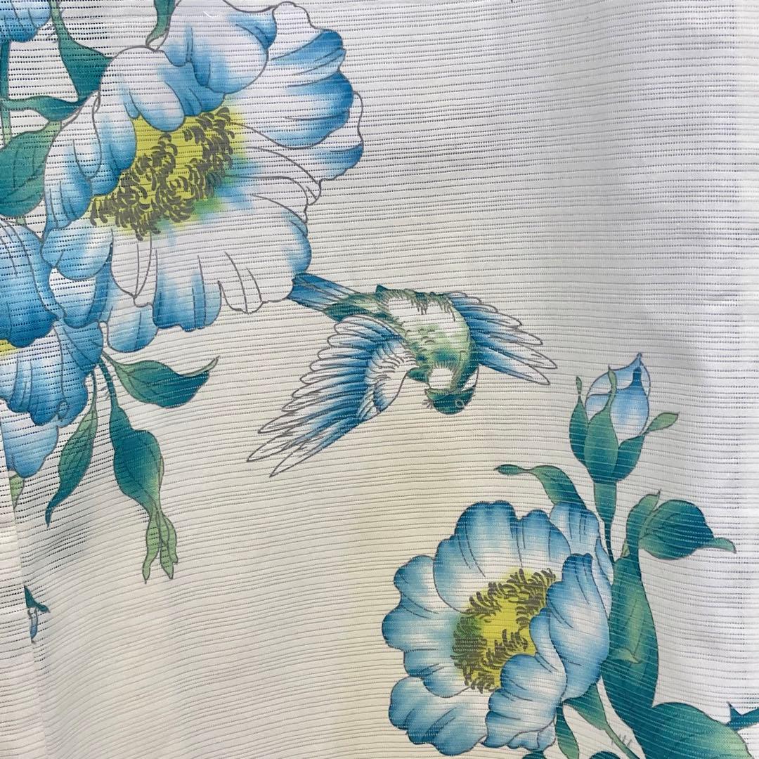 古今　綿絽浴衣　大胆で美しい野薔薇と綺麗なブルーバードの舞