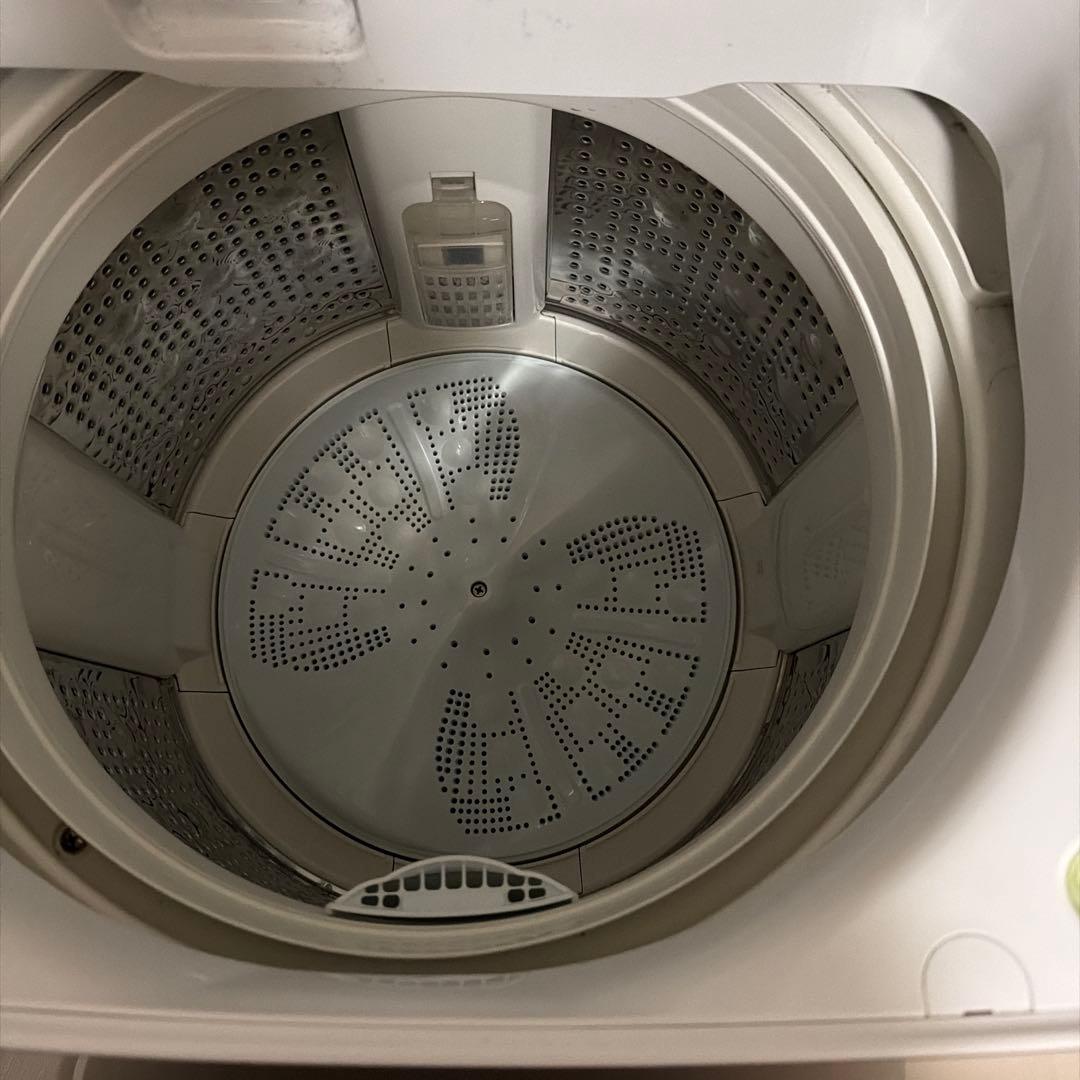 【2月21日発送】ビートウォッシュ BW-V80F