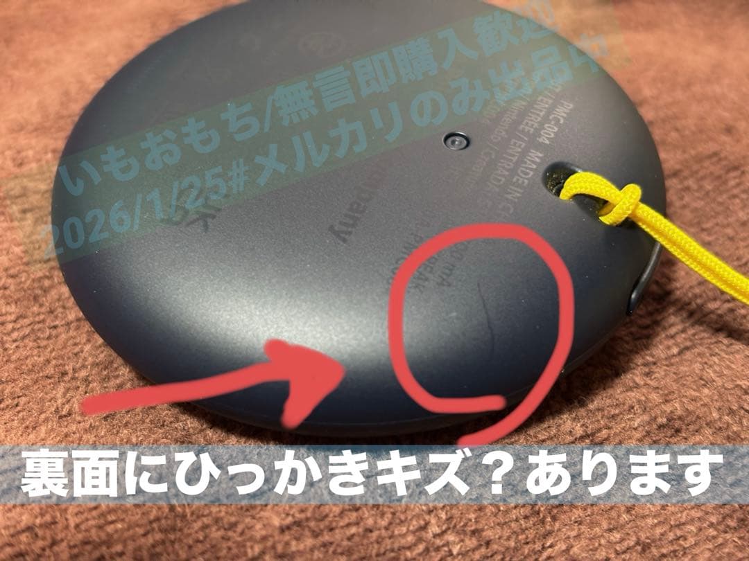 Pokémon GO Plus+ (本体とストラップのみ)