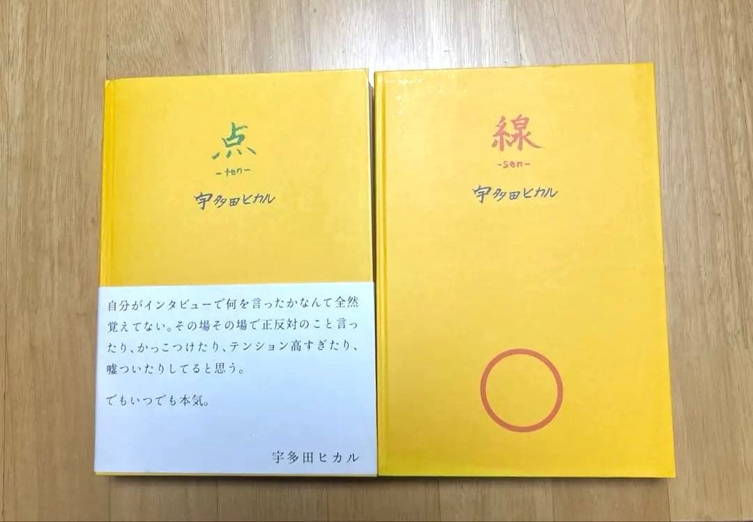 宇多田ヒカル　点 ~ten~と線~sen~(初版本)二冊セット 希少品
