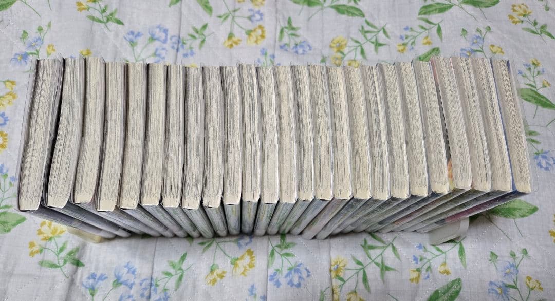 不滅のあなたへ 全25巻全巻セット