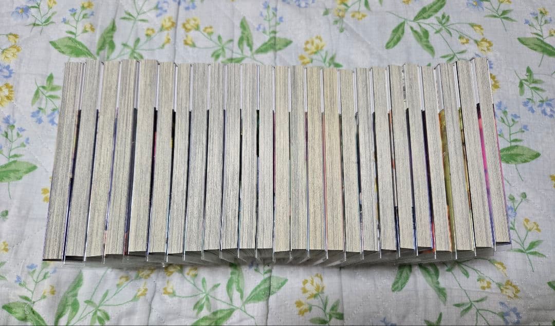 不滅のあなたへ 全25巻全巻セット