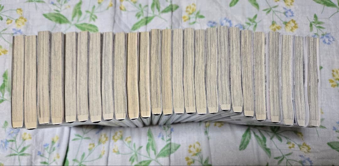 不滅のあなたへ 全25巻全巻セット