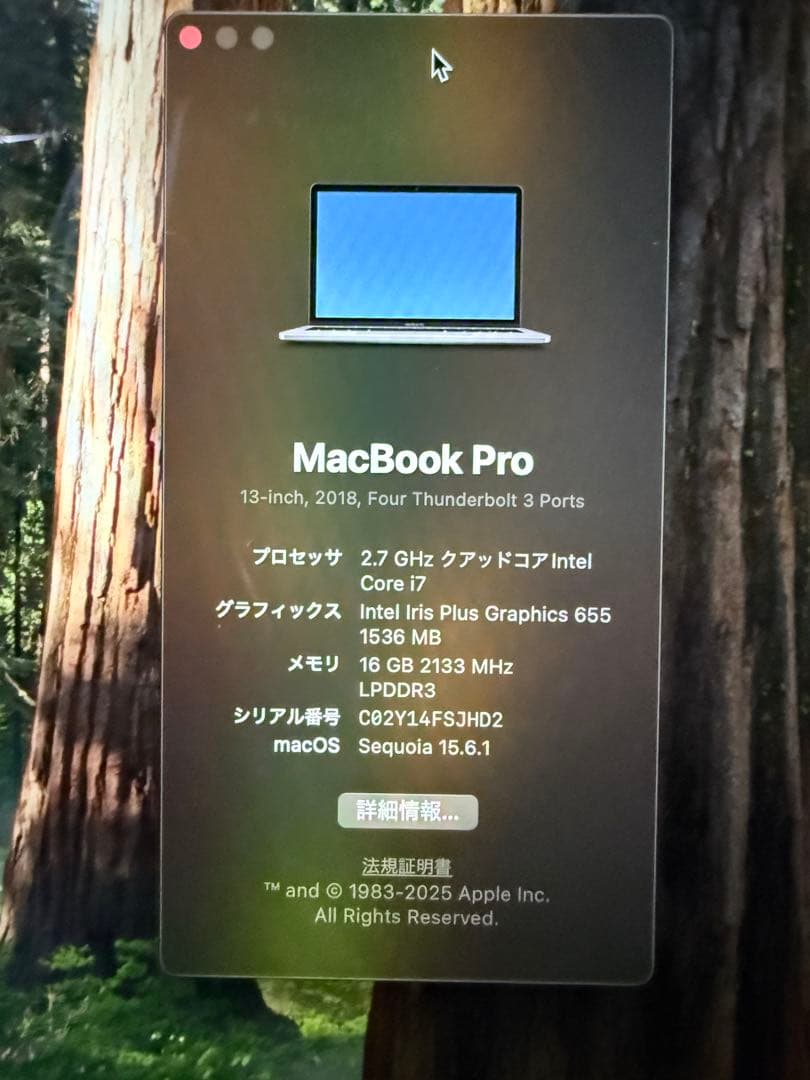MacBook Pro (13-inch, 2018) 出品のご案内