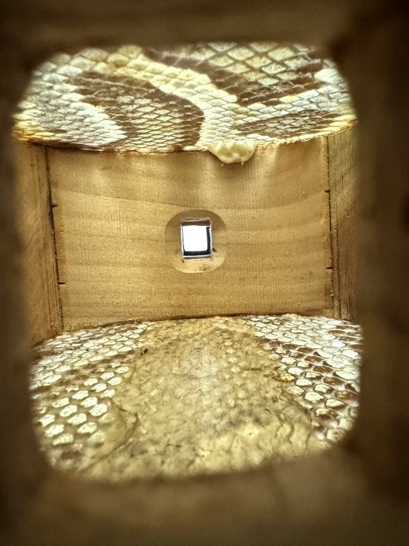 三線 又吉真也 南風原型 ハードケース付