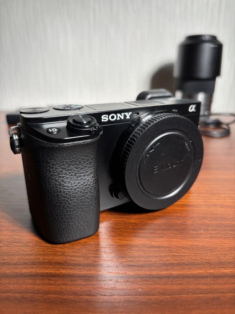 SONY ミラーレスカメラα6100本体+ズームレンズセット