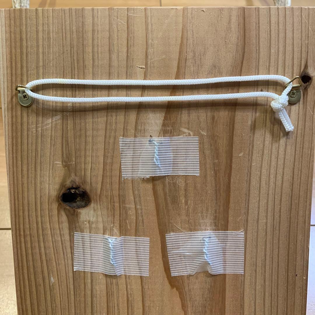 ハンティングトロフィー　丹羽篠山産　鹿の角　大幅値下げ！日本鹿　スカル　即日発送