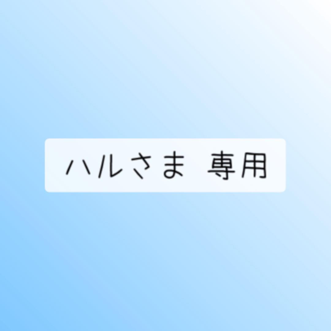 ハルさま 専用