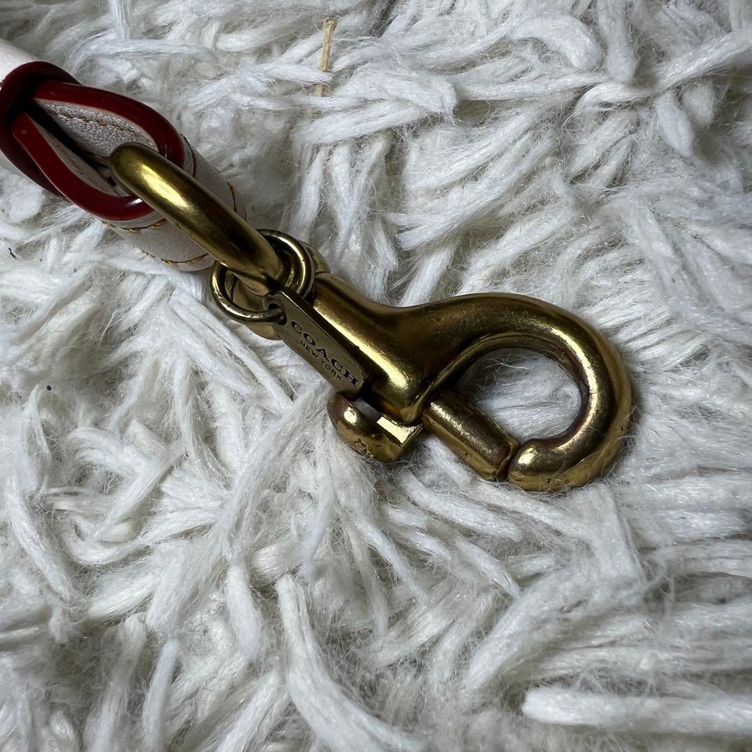 コーチ COACH ショルダーストラップ ティーローズ ホワイト 花 ウィズ