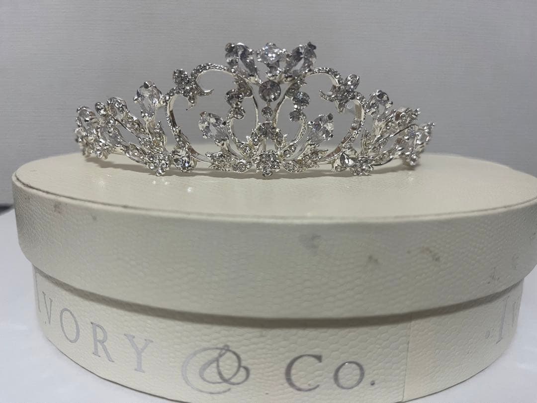 い*ぬ様 【大幅値下げ】ivory&co. ティアラ