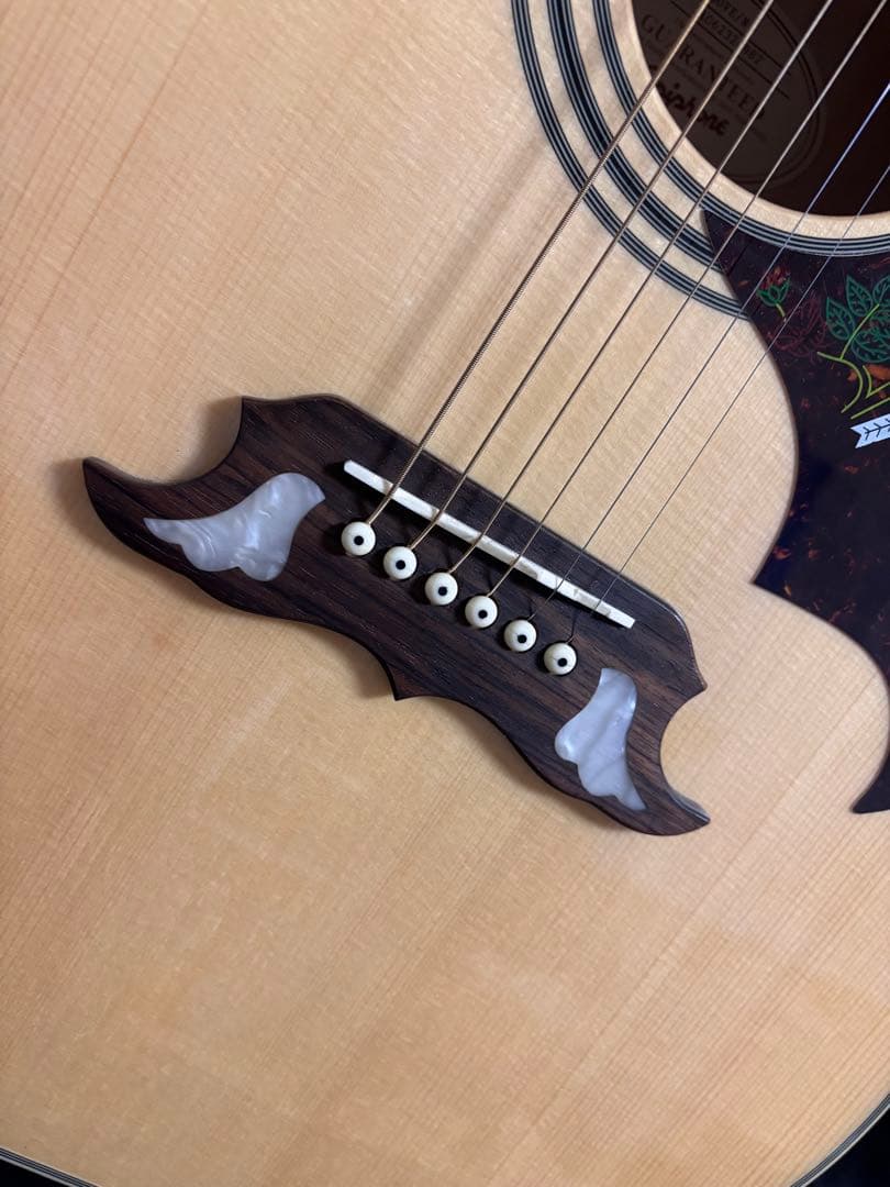 エピフォン　DOVE アコースティックギター