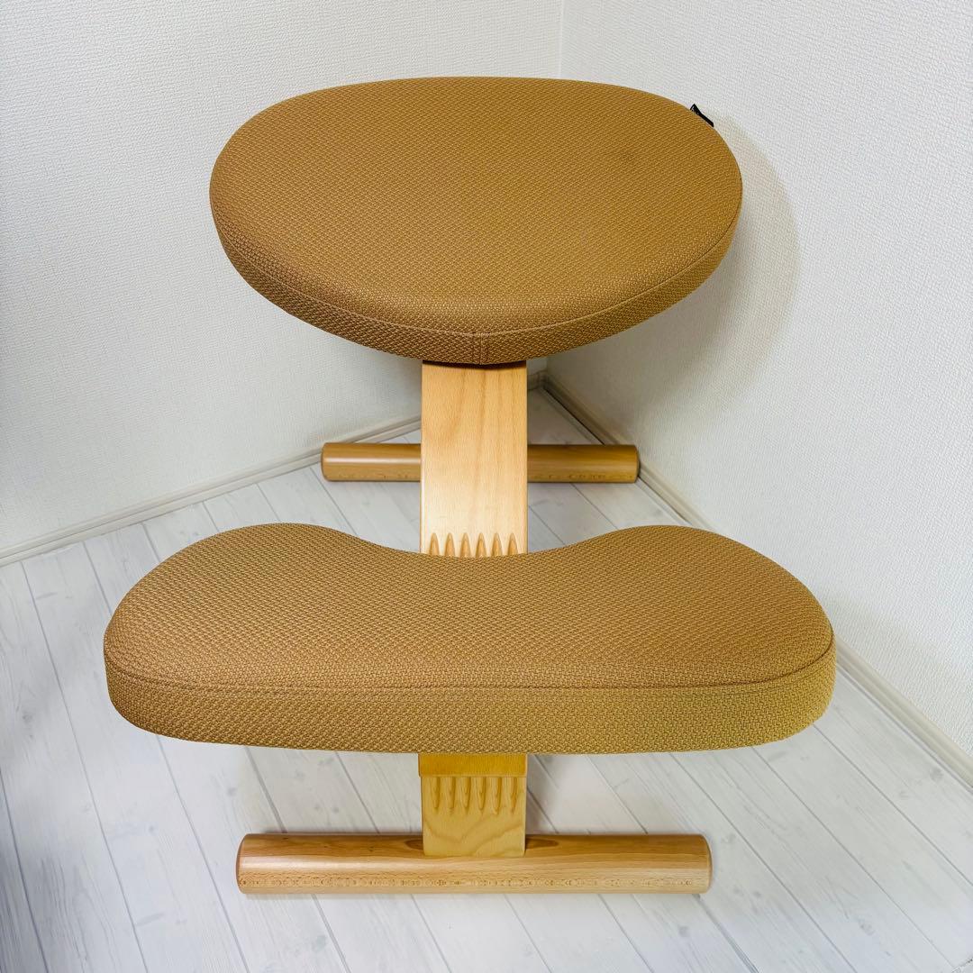 サカモトハウス balans Easy バランスイージー バランスチェア