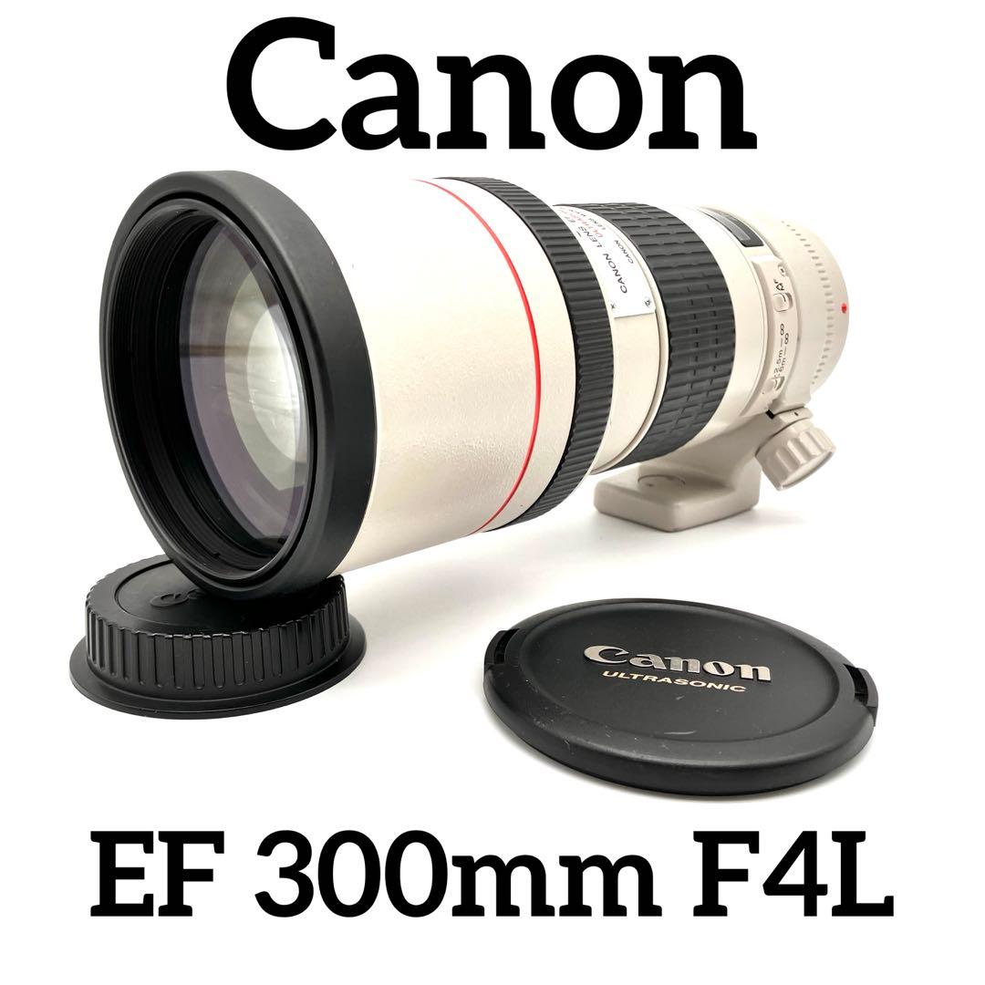 Canon EF 300mm F4単焦点レンズ