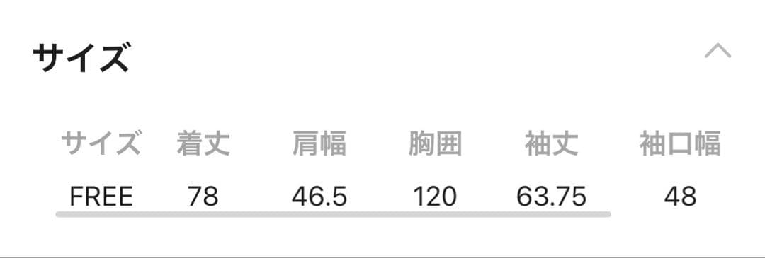 【新品未使用】Chaos イーストデニムシャツ　ブラック