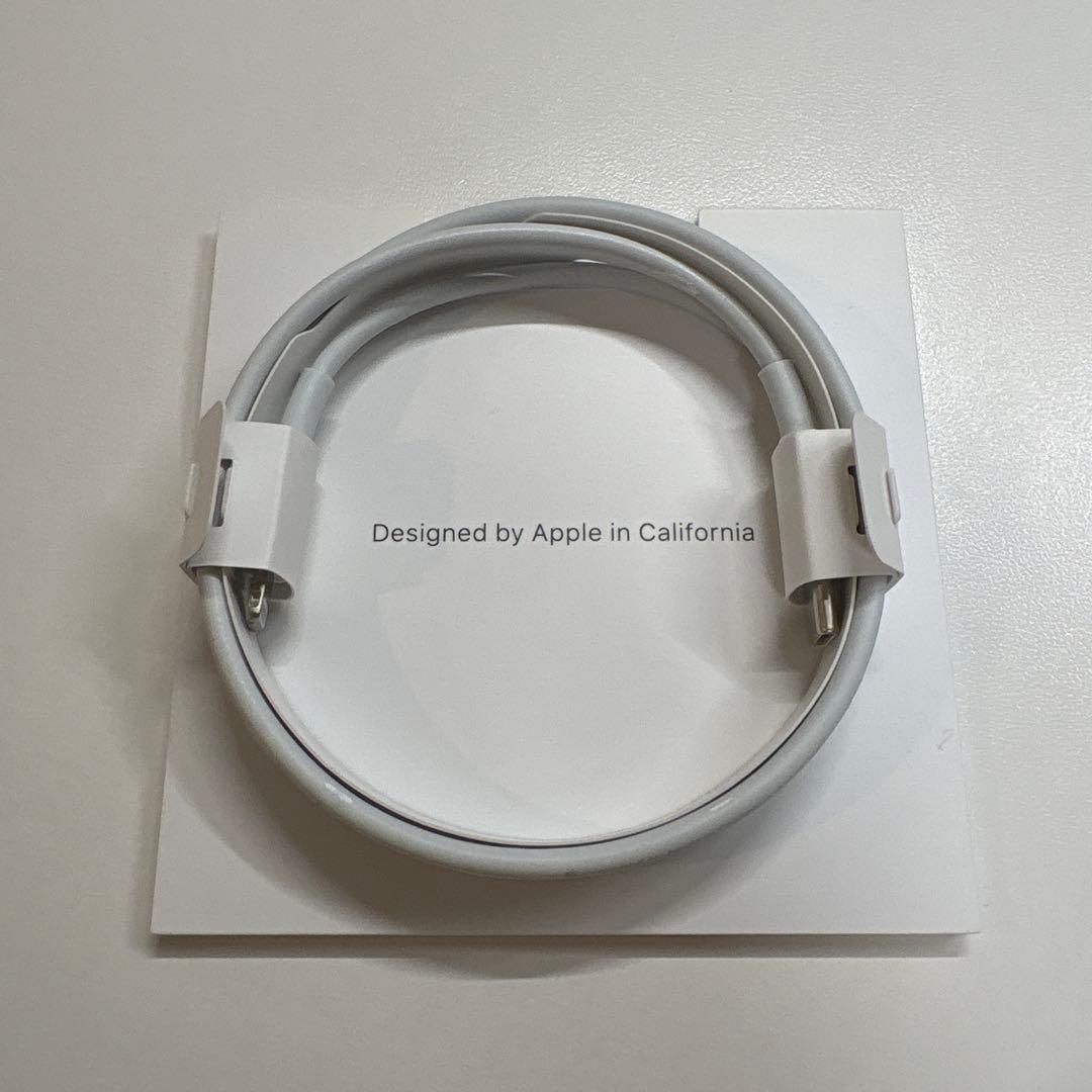 AirPods Pro 第一世代 ケース付き 「探す」解除済み