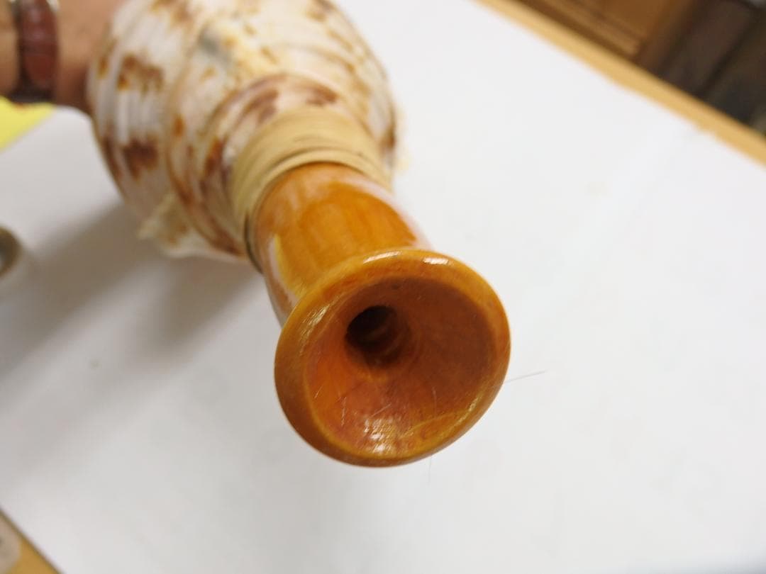 法螺貝 約40㎝ 木製歌口　新品　 MH-442