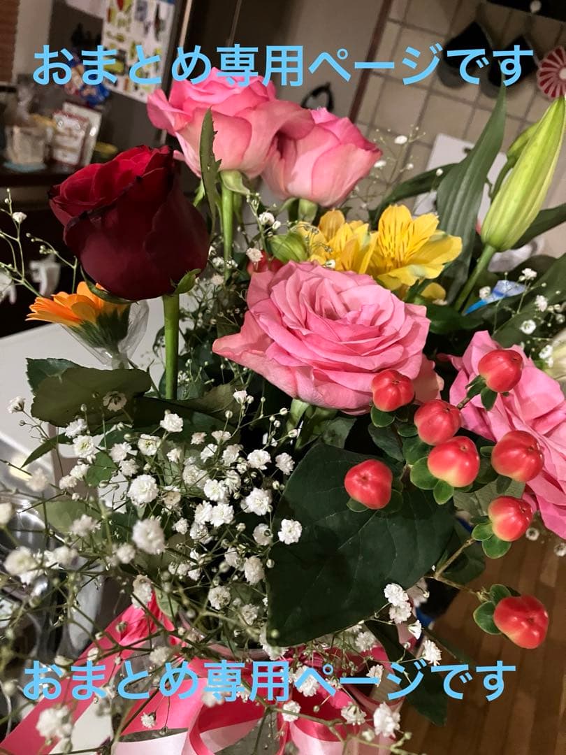 『おまとめ専用』ページです6点