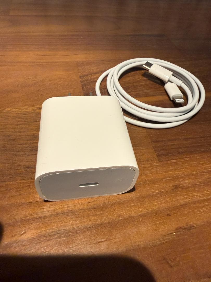 iPad mini 5 Wi-Fi &セルラーモデル256G