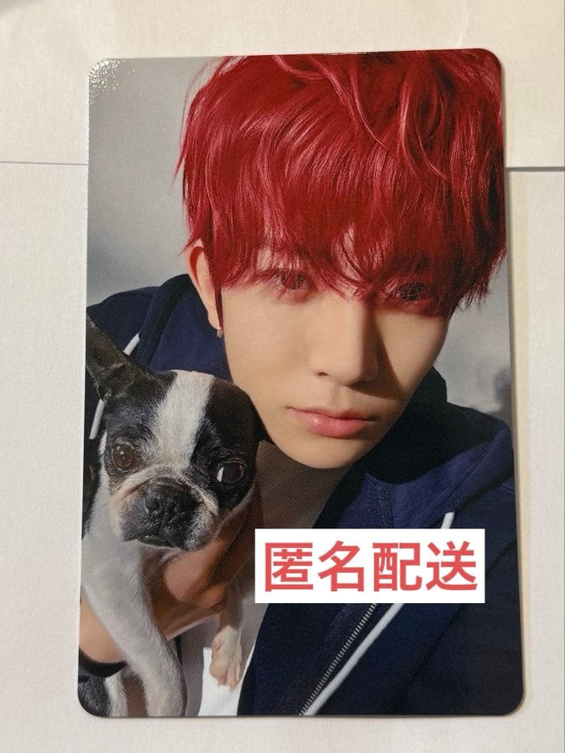 ENHYPEN アンケート 特典