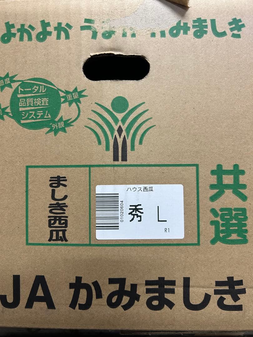 熊本県スイカ秀Lサイズ2玉入り 約14kg
